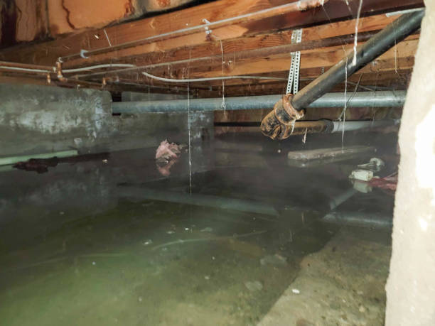 Best Emergency water damage restoration  in Edgefield, SC