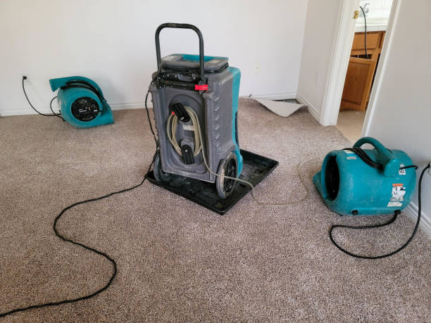 Best Residential water damage restoration  in Edgefield, SC