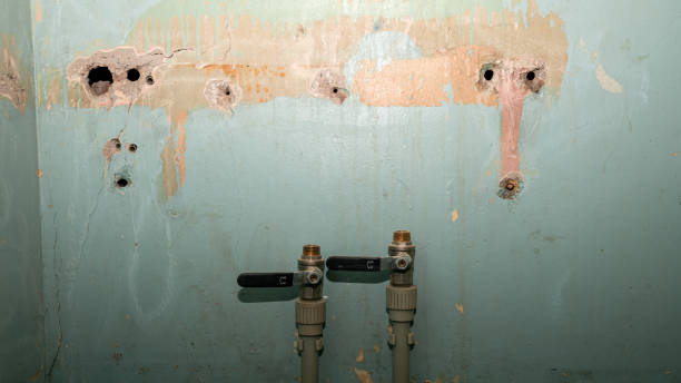 Best Sewage cleanup and water damage restoration  in Edgefield, SC